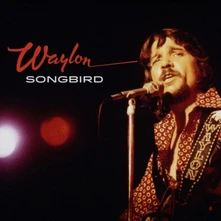 CD SONGBIRD