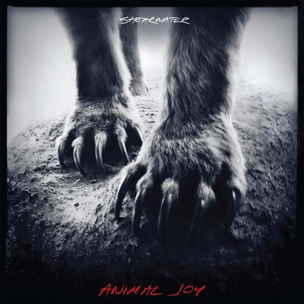 ANIMAL JOY
