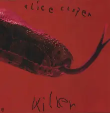 Vinyl KILLER