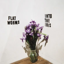 Flat Worms, Vinyl INTO THE IRIS
