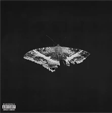 Vinyl To Pimp a Butterfly (10th Anniversary Edition)