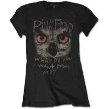 Owl - WDYWFM?