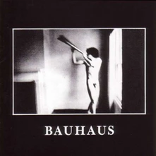 Bauhaus, Vinyl IN THE FLAT FIELD
