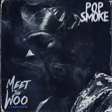 Meet The Woo thumbnail