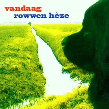 Absynthe Minded, Vinyl VANDAAG