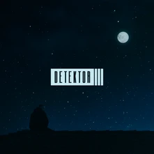 CD Detektor III