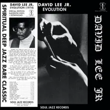 David Lee Jr. – EVOLUTION (Vinyl)
