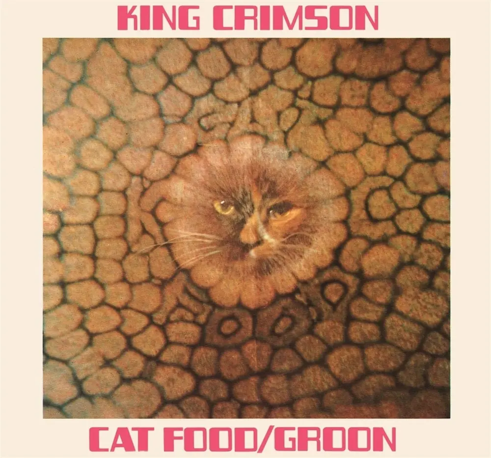 CAT FOOD