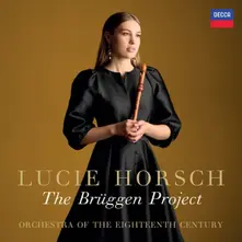 THE BRUGGEN PROJECT thumbnail