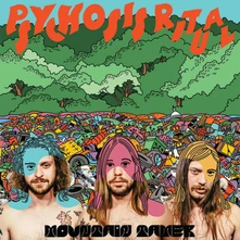Mountain Tamer, Vinyl PSYCHOSIS RITUAL