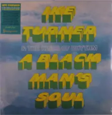 Vinyl Ike Turner & the K... - A Black Man's Soul