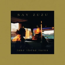 Say Zuzu, CD TAKE THESE TURNS