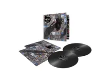 Pink Floyd, Vinyl A Foot In the Door: the Best of Pink Floyd