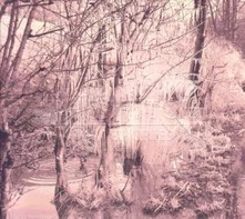 Esben and the Witch, CD VIOLET CRIES