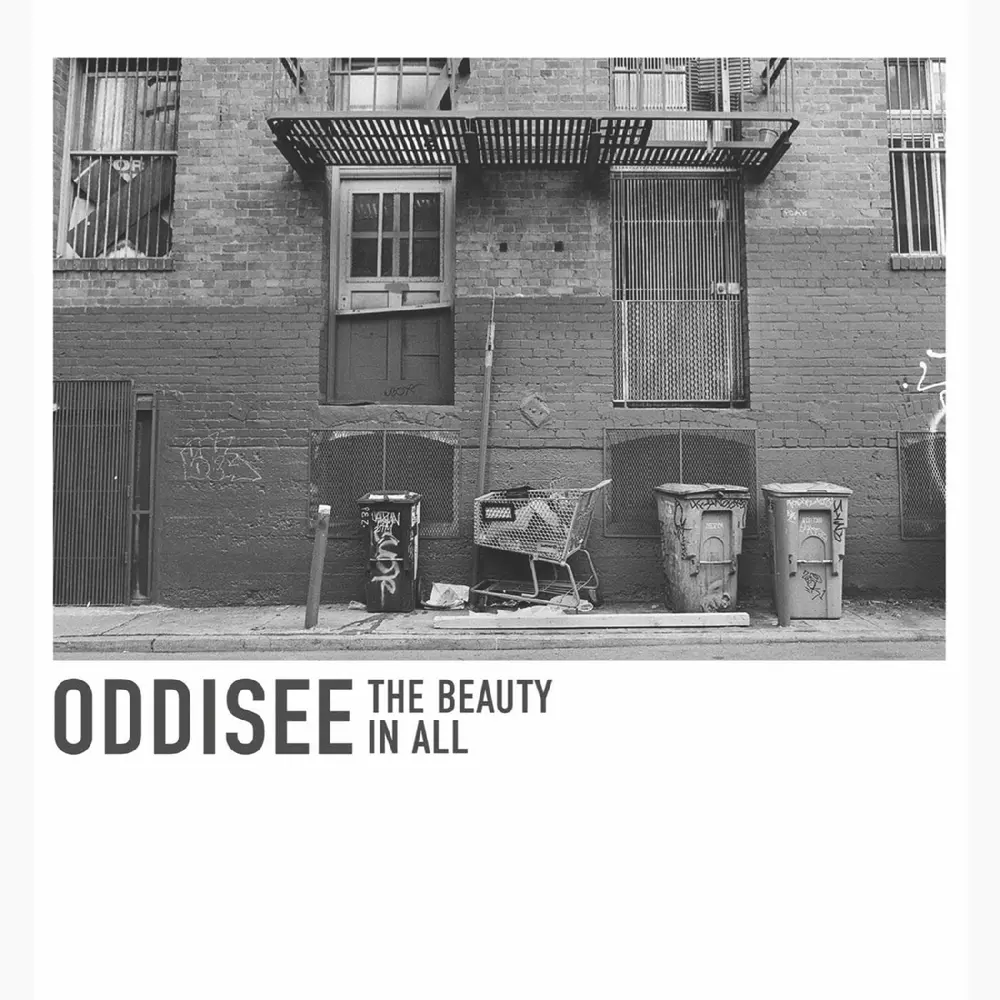 Oddisee – BEAUTY IN ALL (Vinyl)