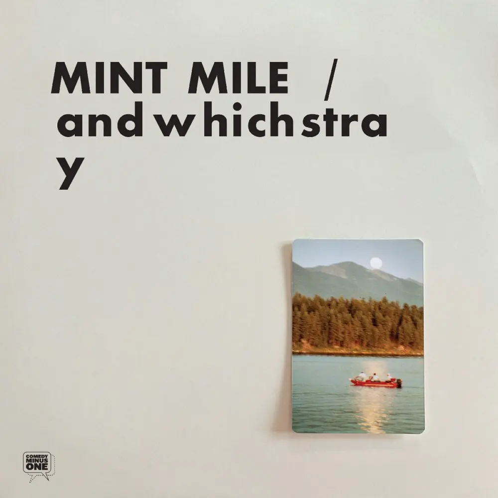 Mint Mile – ANDWHICHSTRAY (Vinyl)