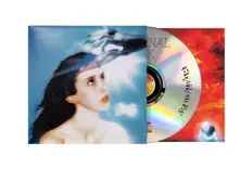 CD IMAGINAL DISK