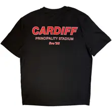 Unisex T-Shirt: Cardiff City Pop Up (Black) (Back Print & Ex-Tour) thumbnail