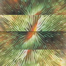 Vinyl MIRRORING