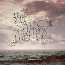 Von Hertzen Brothers, CD IN MURMURATION