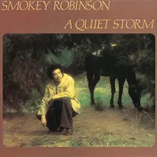 Vinyl A QUIET STORM