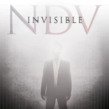 Nick D'Virgilio, CD INVISIBLE