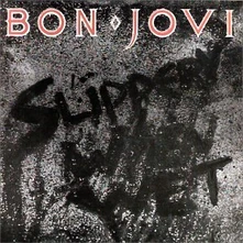 CD SLIPPERY WHEN WET