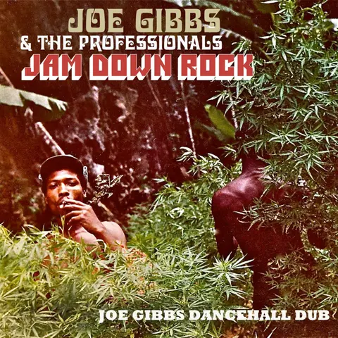 Joe Gibbs & The Professionals – CD JAM DOWN ROCK - JOE GIBBS DANCEHALL DUB
