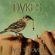 DVKES, CD PUSH TROUGH