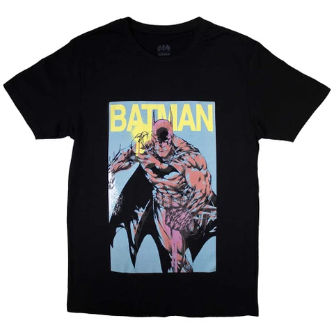 Batman - Pop Colours