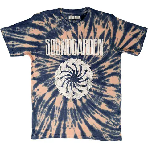 Logo Swirl