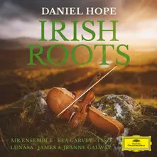 Vinyl Irish Roots