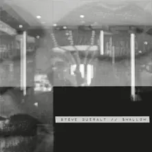 Steve Queralt, Vinyl SWALLOW