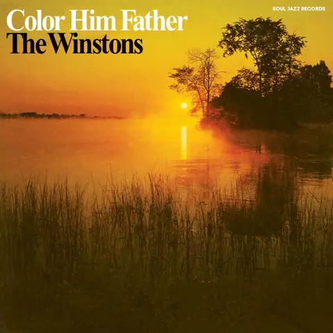 The Winstons – CD COLOR HIM FATHER