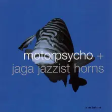 Vinyl IN THE FISHTANK
