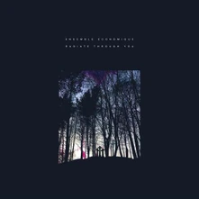 Ensemble Economique, CD RADIATE THROUGH YOU