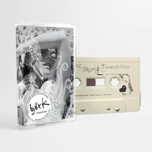 Björk, Kazeta VESPERTINE