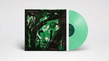 Vinyl BIRDBRAIN