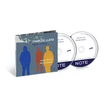 FIGURE IN BLUE thumbnail