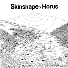 Vinyl SKINSHAPE X HORUS