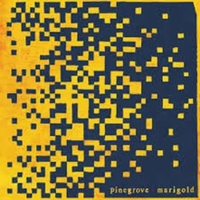 Pinegrove, Vinyl MARIGOLD