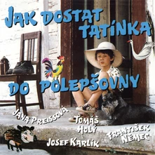 CD Jak dostat tatínka do polepšovny