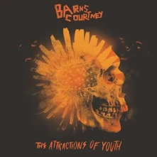 CD THE ATTRACTIONS OF YOUTH