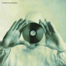 Porcupine Tree, CD STUPID DREAM
