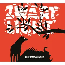 Zwart Licht, Vinyl BLIKSEMSCHICHT