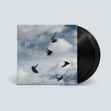 Giant Rooks, Vinyl ROOKERY