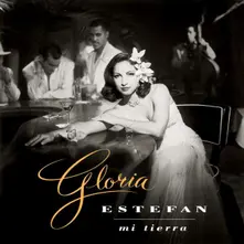 Vinyl Mi Tierra