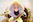 Alison Goldfrapp