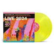 YOSHIMI BATTLES THE PINK ROBOT (RSD 2025) thumbnail
