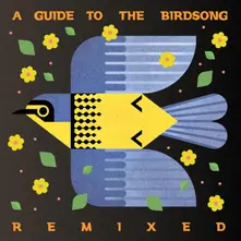 Vinyl A GUIDE TO THE BIRDSONG REMIXED